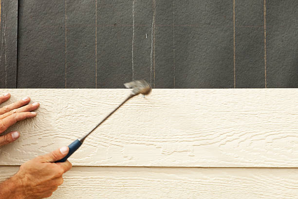 Best Vinyl Siding Installation  in Escatawpa, MS