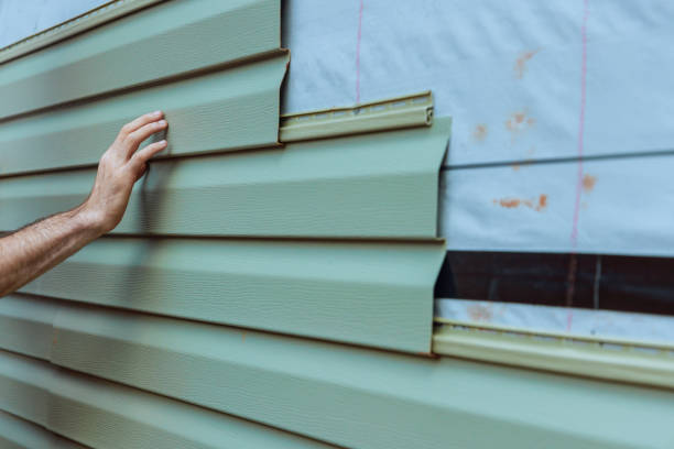 Best Custom Trim and Detailing for Siding  in Escatawpa, MS